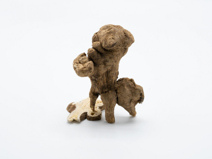 2. Sınıf İngilizce Hayvanlar Testi 2. Sınıf İngilizce Hayvanlar Testi